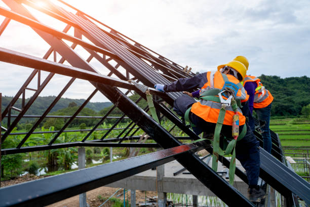 Best Roof Gutter Cleaning  in Acushnet Center, MA